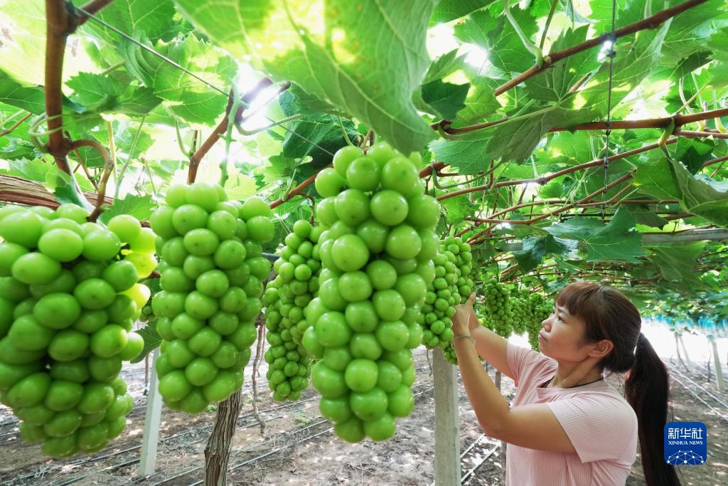 巴黎人提款不了